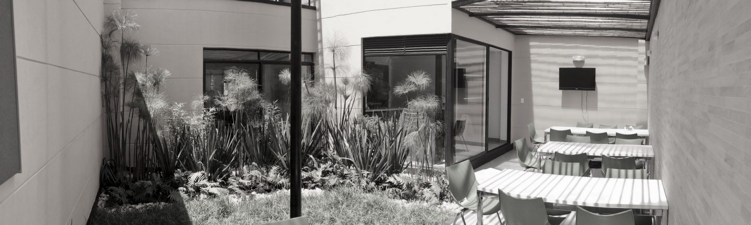 Image module